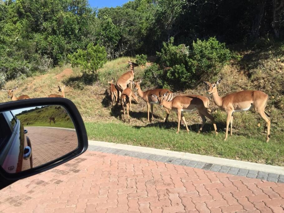 Umthi Lodge, Wildlife, Pool, Power Inverter
