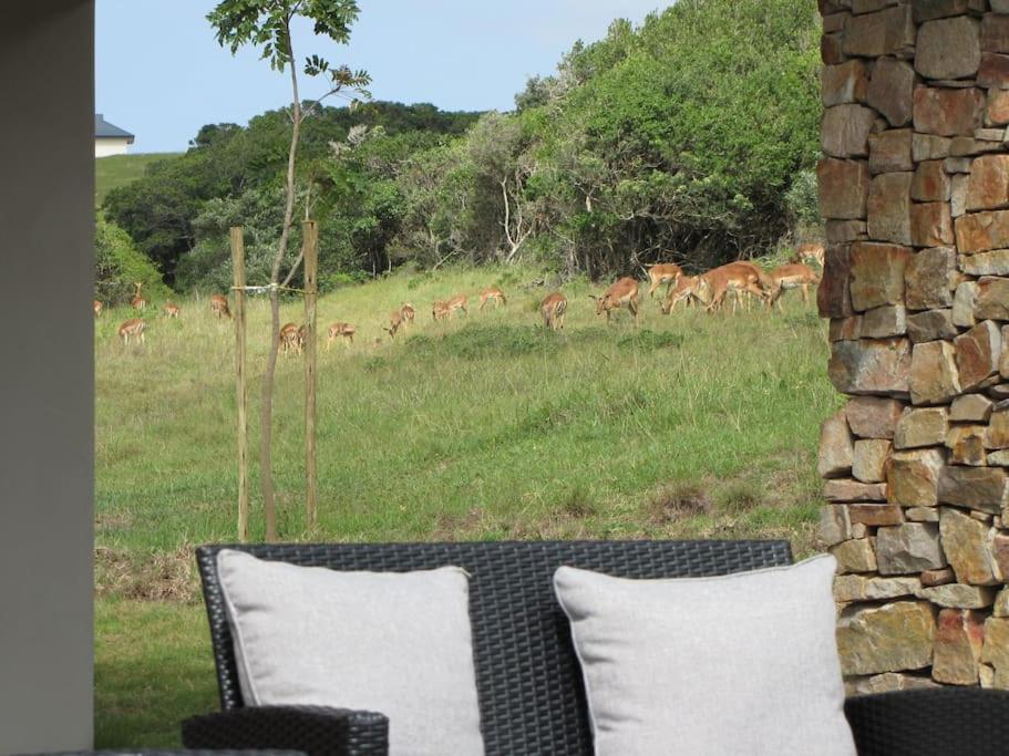 Umthi Lodge, Wildlife, Pool, Power Inverter * Kenton on Sea